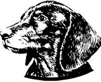 Motu 4900 Valero Pasadena